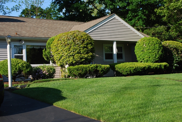Hamel Bros. Landscaping public website photograph