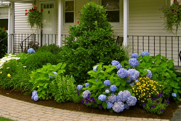 Hamel Bros. Landscaping public website photograph