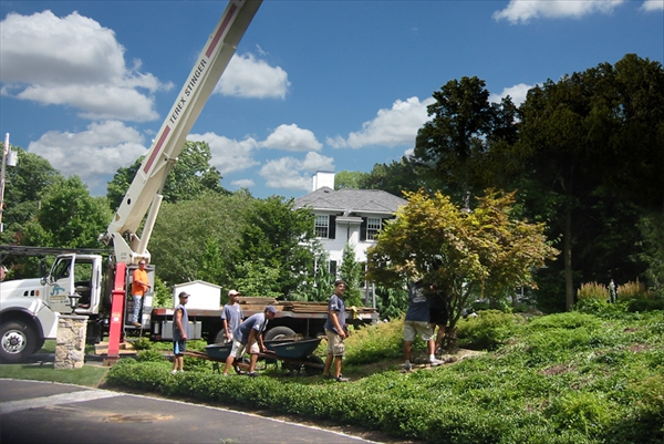 Hamel Bros. Landscaping public website photograph